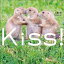 Ｋｉｓｓ！