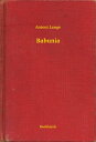 Babunia【電子書籍】[ Antoni Lange ]