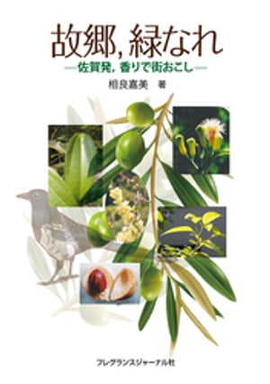 相良嘉美