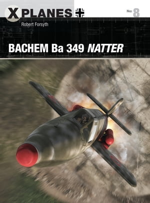 Bachem Ba 349 Natter