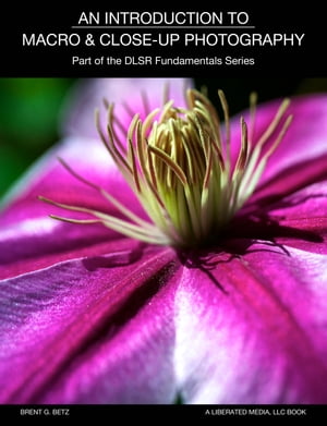 An Introduction To Macro And Close-Up Photography