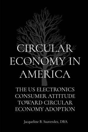 CIRCULAR ECONOMY IN AMERICA THE US ELECTRONICS C