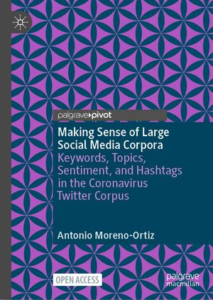 Making Sense of Large Social Media Corpora