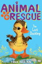 The Lost Duckling