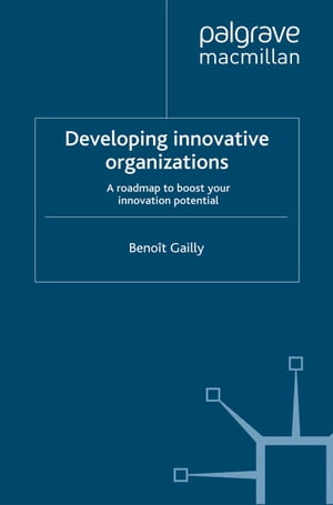 Developing Innovative Organizations