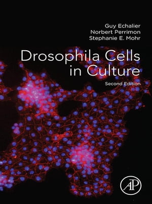 Drosophila Cells in CultureŻҽҡ[ Norbert Perrimon ]