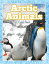 Arctic Animals (Cold Feet)