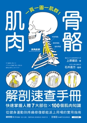 肌肉骨骼解剖速?手冊 一頁一圖一肌群！快速掌握人體7大部位x100個肌肉知識，從健身運動到疼痛修復都能派上用場的實用指南【電子書籍】[ 上原健志 ]