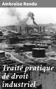 Trait? pratique de droit industriel Expos? de la l?gislation et de la jurisprudence sur les ?tablissements industriels