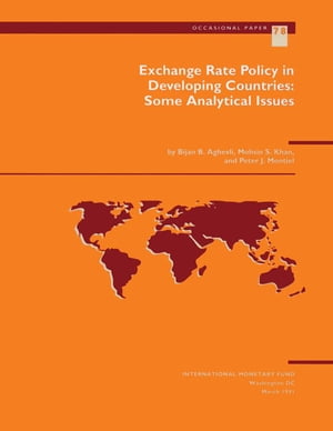Exchange Rate Policy in Developing Countries: Some Analytical Issues