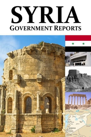 Syria: Government Reports
