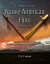 Native American Flute ~ A Comprehensive Guide