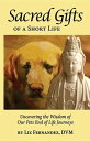 Sacred Gifts Of A Short Life Uncovering The Wisdom Of Our Pets End Of Life Journ...