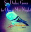 Sir Duke Goes To Open Mic Night