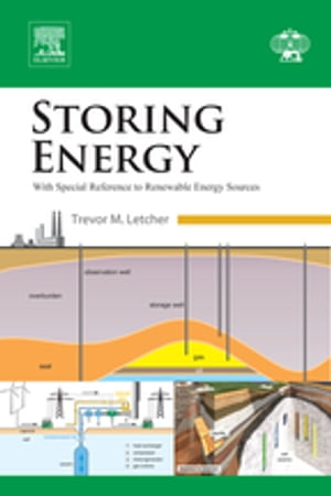 Storing Energy with Special Reference to Renewable Energy SourcesŻҽҡ