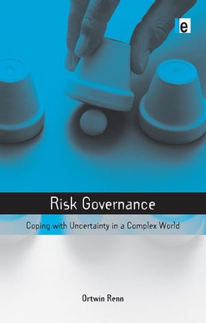 Risk Governance