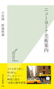 ニューヨーク美術案内【電子書籍】 千住博