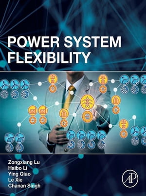 Power System Flexibility