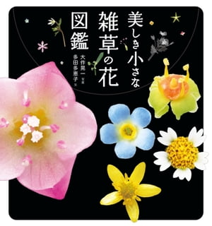 美しき小さな雑草の花図鑑【電子書籍】[ 多田 多恵子 ]