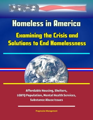 Homeless in America: Examining the Crisis and Solutions to End Homelessness - Affordable Housing, Shelters, LGBTQ Population, Mental Health Services, Substance Abuse Issues