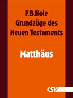 Grundzüge des Neuen Testaments - Matthäus