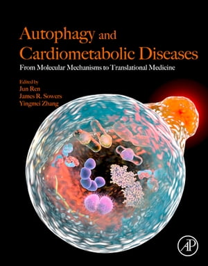 Autophagy and Cardiometabolic Diseases