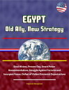 ŷKoboŻҽҥȥ㤨Egypt: Old Ally, New Strategy - Sinai History, Present Day, Smart Power Recommendations, Struggle Against Terrorist and Insurgent Forces, Defeat of Violent Extremist OrganizationsŻҽҡ[ Progressive Management ]פβǤʤ530ߤˤʤޤ