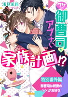御曹司は新妻の××がお好き〜ワケあり御曹司とアブナい家族計画!?〜特別番外編〜