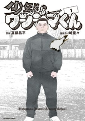 少年院ウシジマくん（1）【電子書籍】[ 真鍋昌平 ]のサムネイル