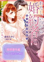 恋する副社長の懊悩〜わたし、いつから婚約者になったんですか?〜クールな副社長とかりそめ蜜月〜特別番外編〜