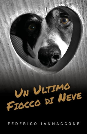 Un ultimo fiocco di neve