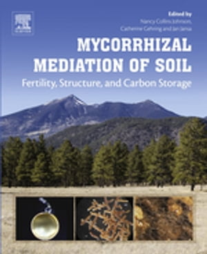 Mycorrhizal Mediation of Soil