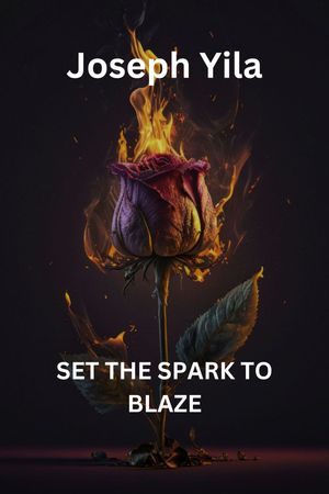 Set the spark to blaze