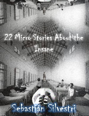 22 Micro Stories About the Insane【電子書籍】[ Sebastian Silvestri ]