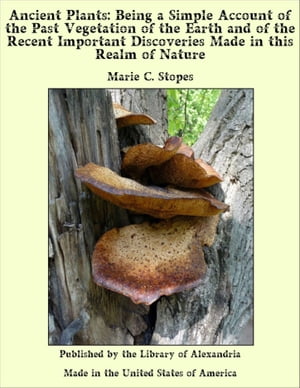 ŷKoboŻҽҥȥ㤨Ancient Plants: Being a Simple Account of the Past Vegetation of the Earth and of the Recent Important Discoveries Made in this Realm of NatureŻҽҡ[ Marie C. Stopes ]פβǤʤ1,200ߤˤʤޤ