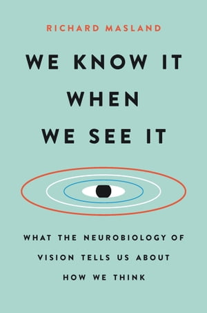 We Know It When We See It What the Neurobiology of Vision Tells Us About How We Think