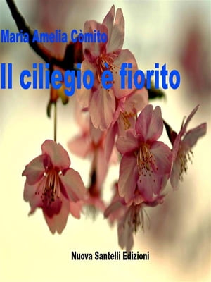 Il ciliegio è fiorito