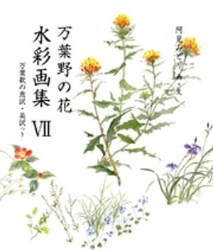 万葉野の花水彩画集(7)