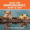 ŷKoboŻҽҥȥ㤨What Are Amphibians?, What & Why : 1st Grade Science Series First Grade Books - HerpetologyŻҽҡ[ Baby Professor ]פβǤʤ567ߤˤʤޤ