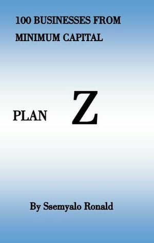 100 Businesses from minimum capital Plan Z
