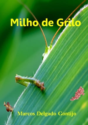 Milho De Grilo