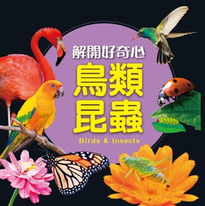 鳥類昆蟲-解開好奇心