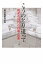 こうのとり追って 晩産化時代の妊娠・出産