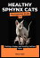hairless catの画像