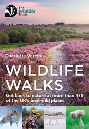 Wildlife Walks Get back to nature at more than 475 of the UK's best wild places【電子書籍】[ Charlotte Varela ]