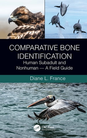 Comparative Bone Identification