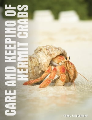 Your Hermit CrabŻҽҡ[ Carol Frischmann ]