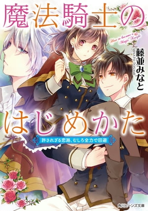 魔法騎士のはじめかた　許されざる恋路、むしろ全力で回避【電子