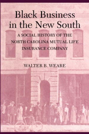 Black Business in the New South