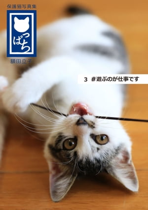 保護猫写真集 ねこっぱち! (3) #遊ぶのが仕事です【電子書籍】[ 額田立子 ]